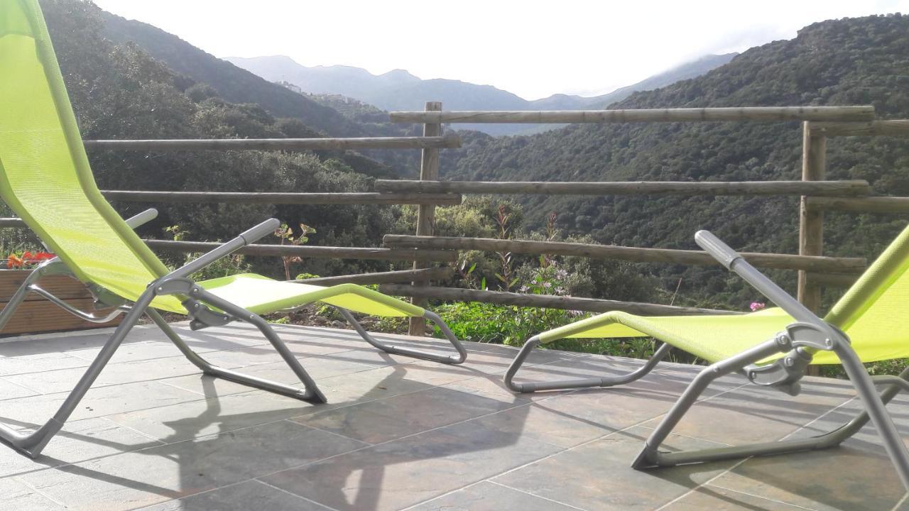 Appartement Giannoni San-Martino-di-Lota Exteriér fotografie