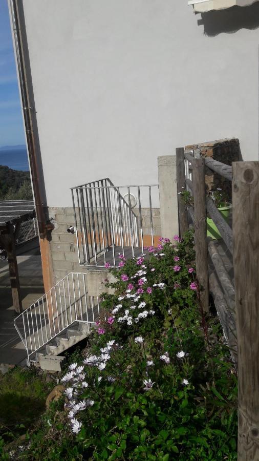 Appartement Giannoni San-Martino-di-Lota Exteriér fotografie