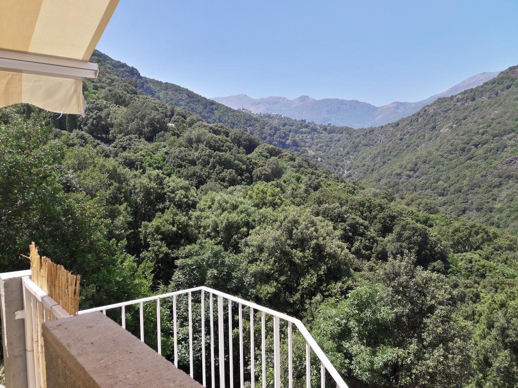 Appartement Giannoni San-Martino-di-Lota Exteriér fotografie